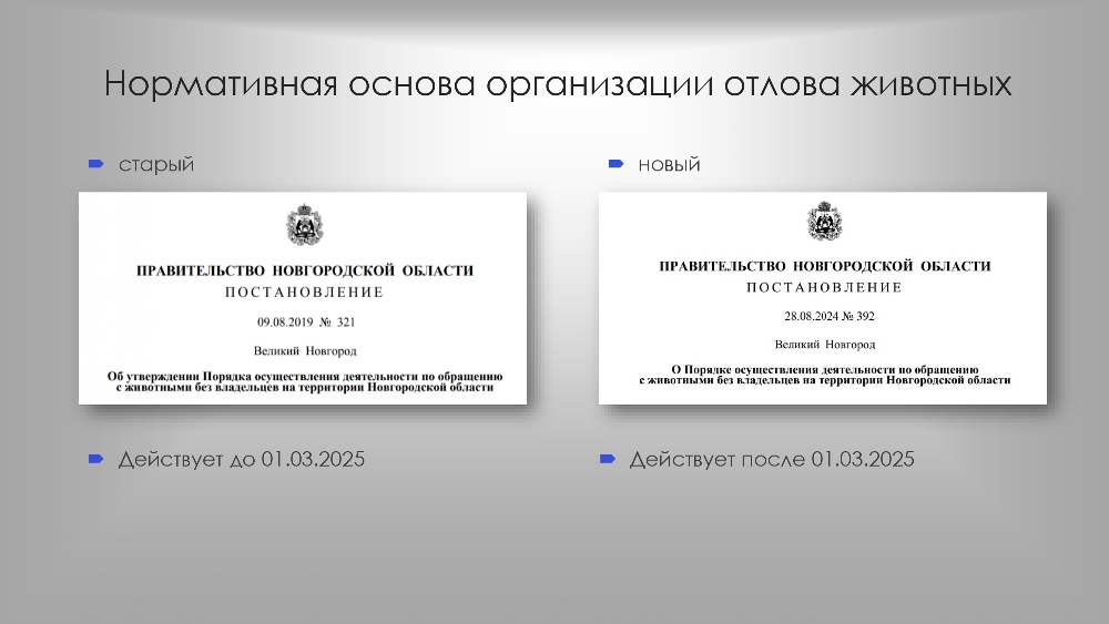 Организация работы по  обращению с животными  без владельцев в органах  местного самоуправления