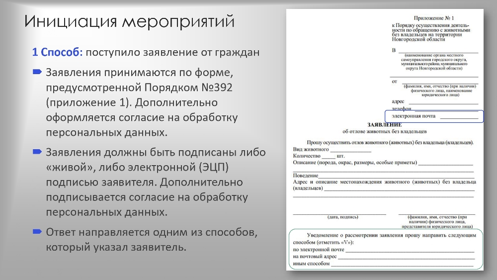 Организация работы по  обращению с животными  без владельцев в органах  местного самоуправления