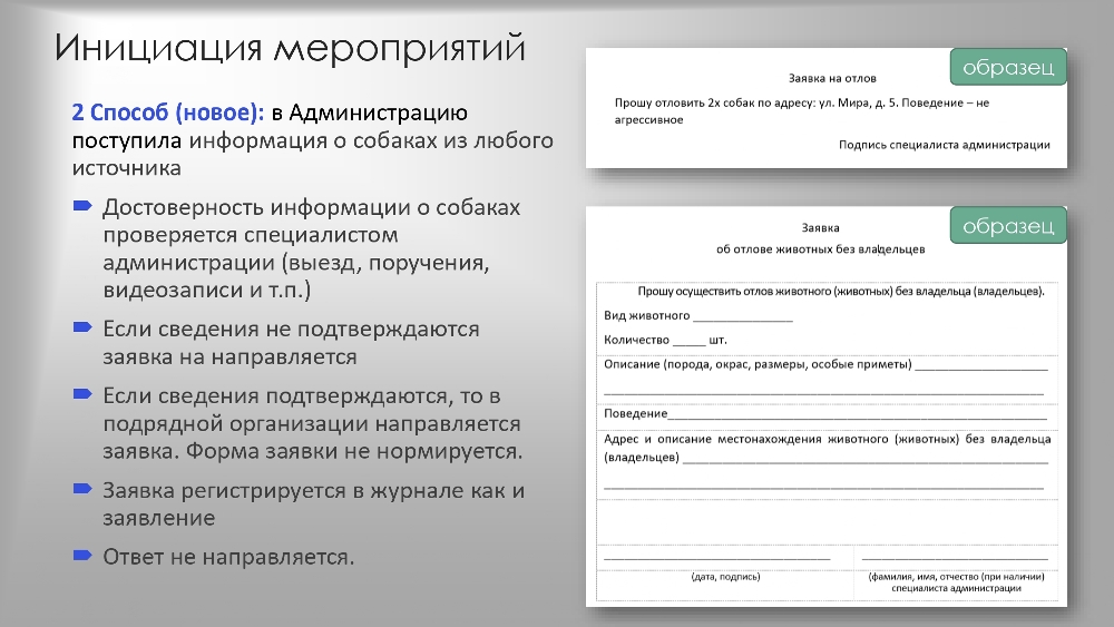 Организация работы по  обращению с животными  без владельцев в органах  местного самоуправления