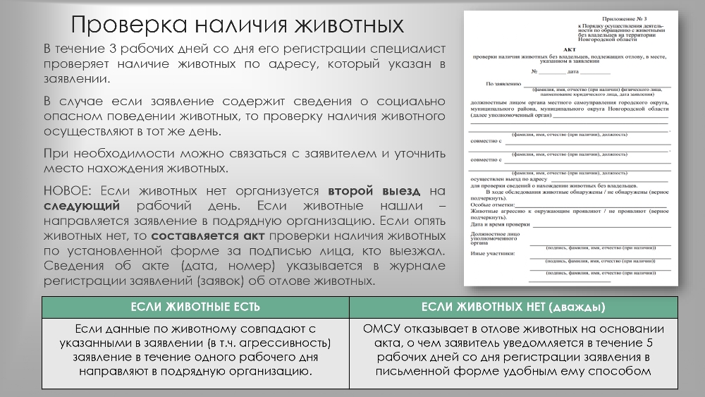 Организация работы по  обращению с животными  без владельцев в органах  местного самоуправления