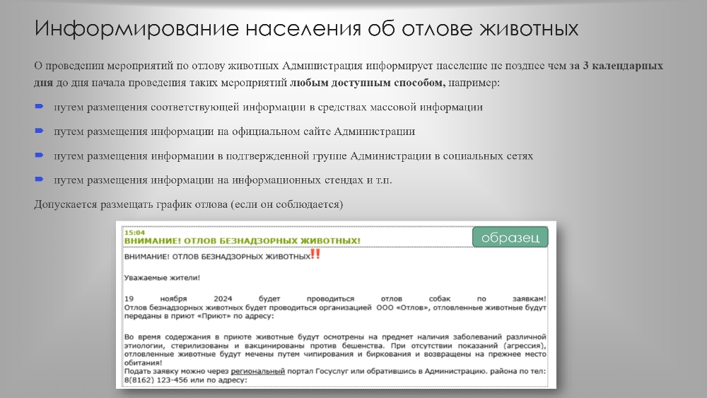 Организация работы по  обращению с животными  без владельцев в органах  местного самоуправления