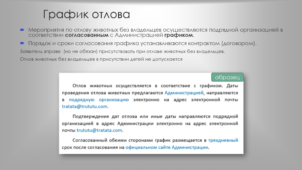 Организация работы по  обращению с животными  без владельцев в органах  местного самоуправления