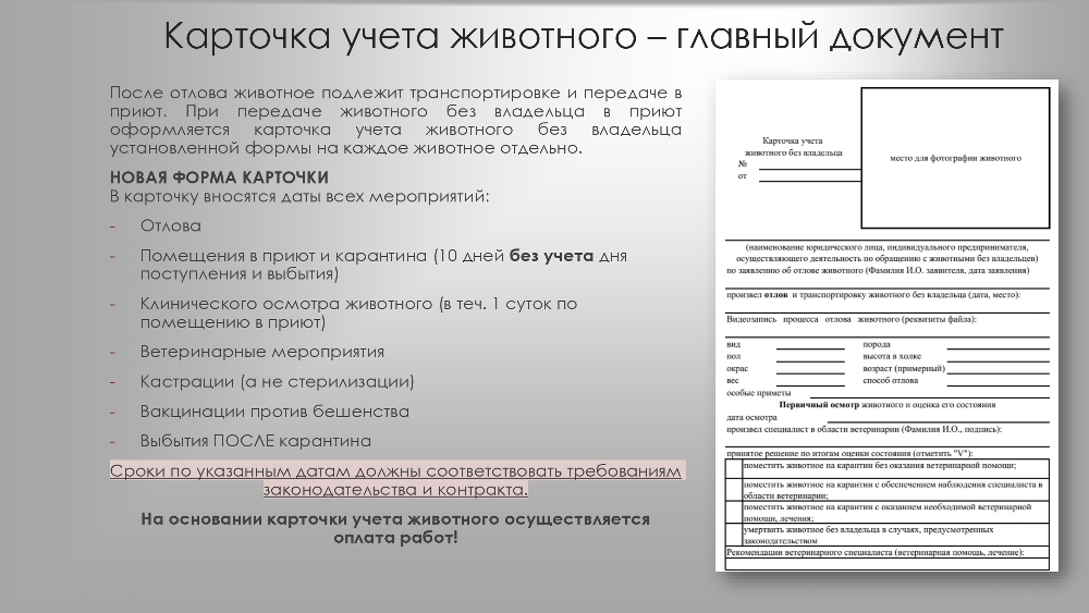 Организация работы по  обращению с животными  без владельцев в органах  местного самоуправления