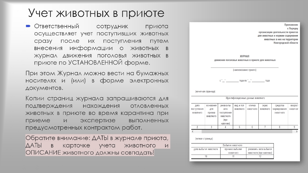 Организация работы по  обращению с животными  без владельцев в органах  местного самоуправления