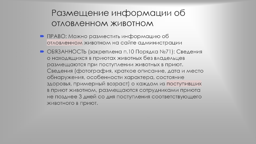 Организация работы по  обращению с животными  без владельцев в органах  местного самоуправления