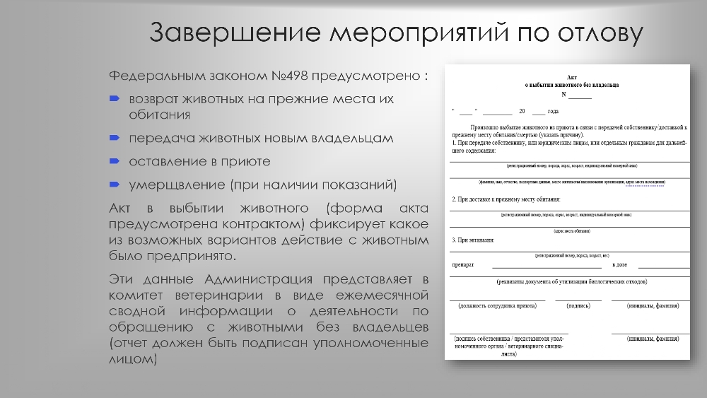 Организация работы по  обращению с животными  без владельцев в органах  местного самоуправления