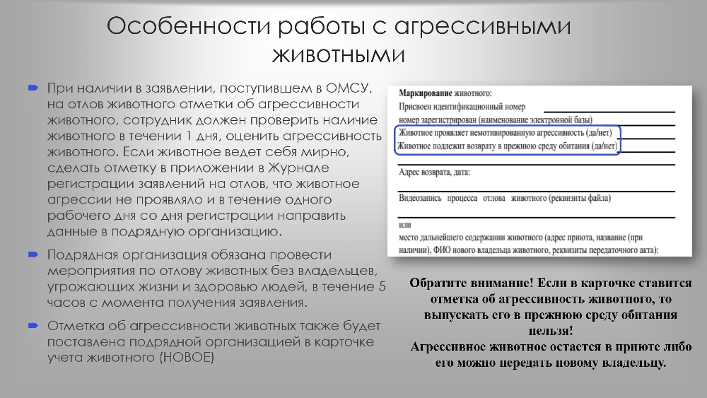 Организация работы по  обращению с животными  без владельцев в органах  местного самоуправления